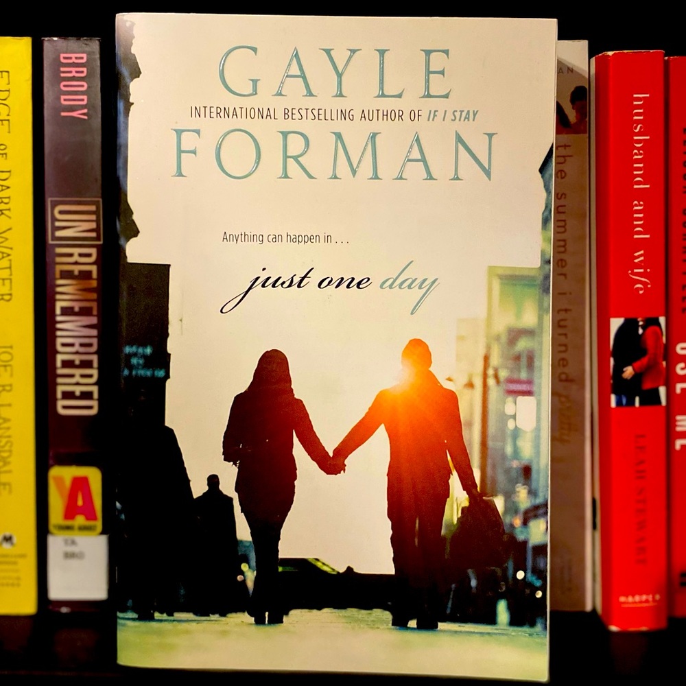 Just one day paperback